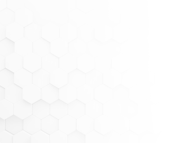 guarantee_left_bg_585x493