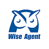 wise_agent